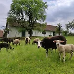 Lamplberg Gutendorf