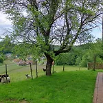 Lamplberg Holiday home
