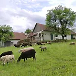 Lamplberg Holiday home *